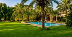 DHA FARMHOUSE 204
