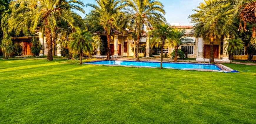 DHA FARMHOUSE 204