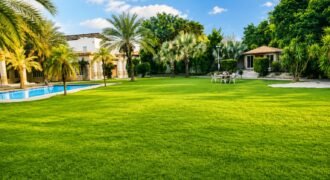 DHA FARMHOUSE 204