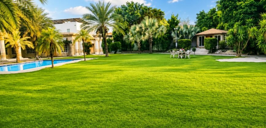 DHA FARMHOUSE 204