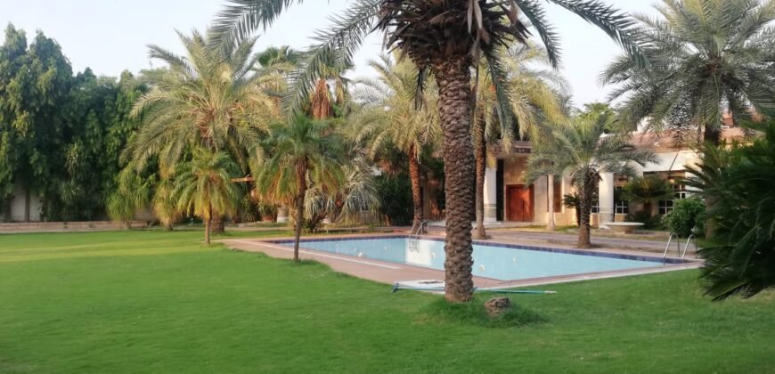 DHA FARMHOUSE 204