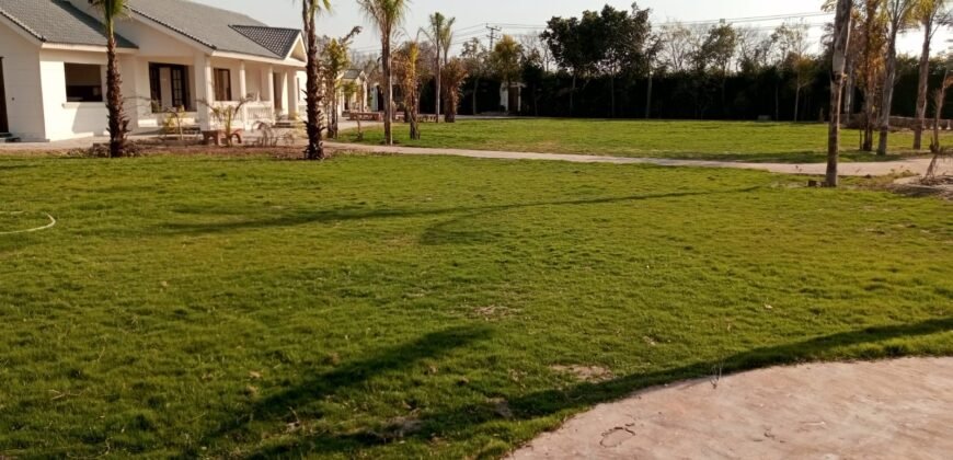 BEDIAN ROAD  FARMHOUSE 206
