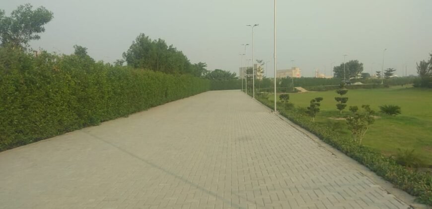 RAIWIND ROAD 250