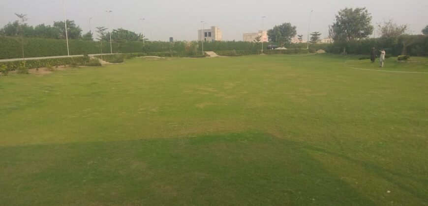 RAIWIND ROAD 250
