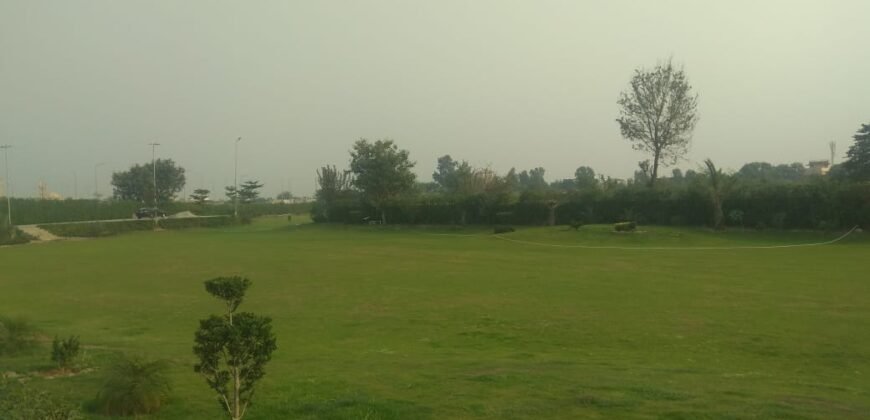 RAIWIND ROAD 250