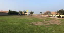 WAHGA BORDER farmhouse 255