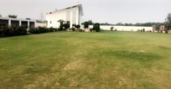 DHA FARMHOUSE 254