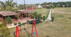 FAIZPUR INTERCHABGE 244