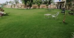 BARKI ROAD FARMHOUSE 253