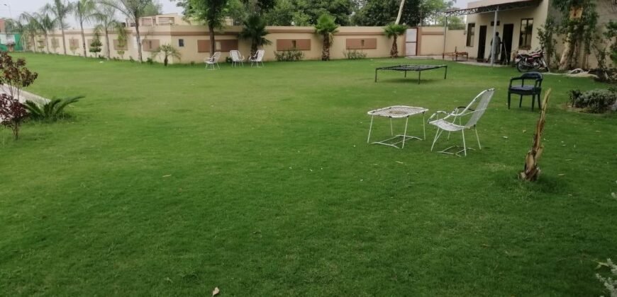 BARKI ROAD FARMHOUSE 253