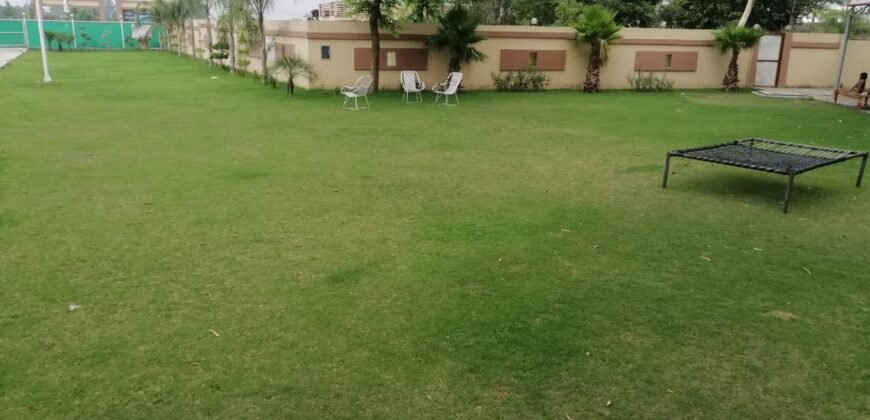 BARKI ROAD FARMHOUSE 253