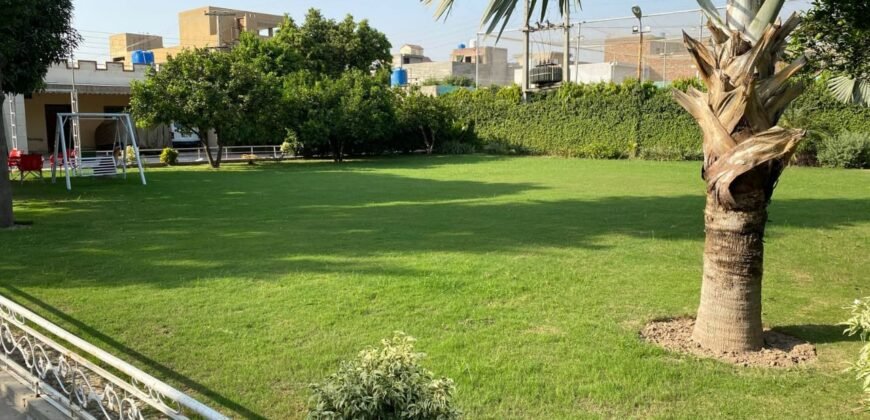 BARKI ROAD FARMHOUSE 257