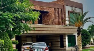 MANAVA FARMHOUSE  247