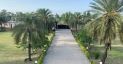 RAIWIND ROAD 259