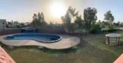 RAIWIND ROAD 259