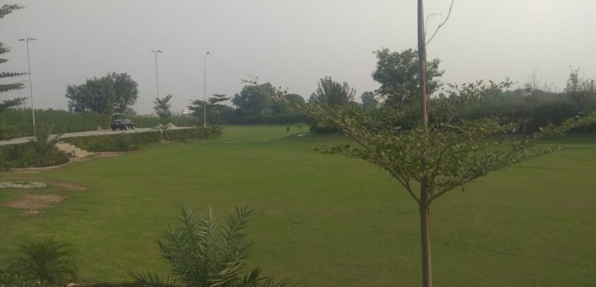 RAIWIND ROAD 250