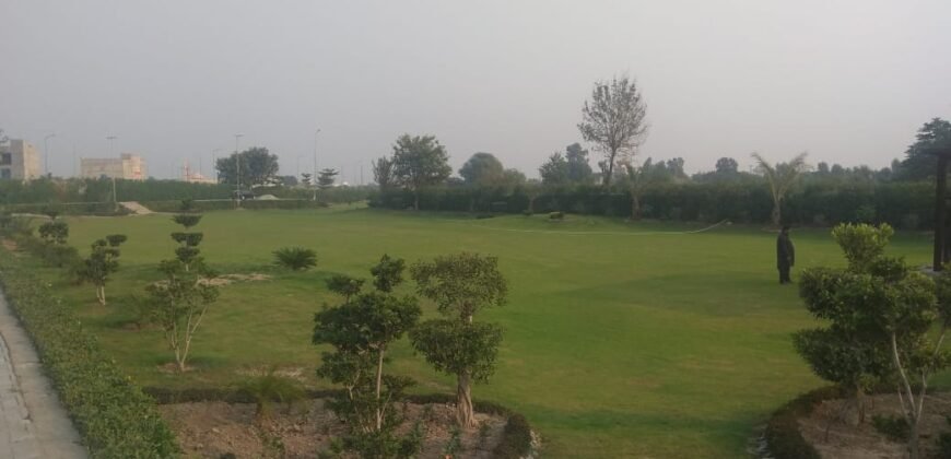 RAIWIND ROAD 250