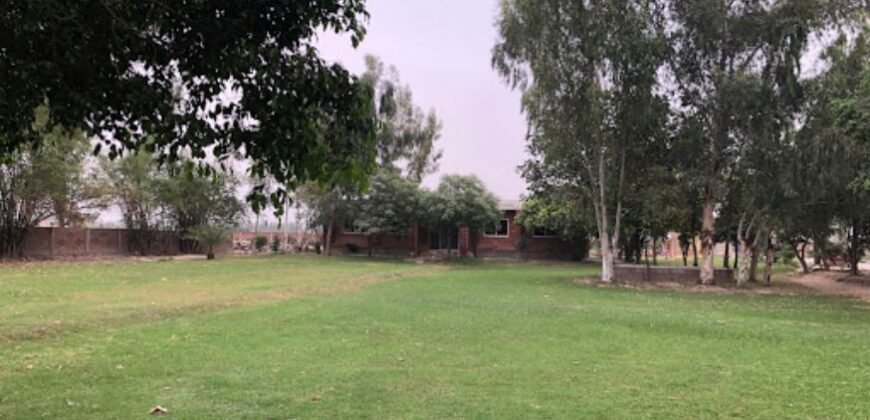 RAIWIND ROAD FARMHOUSE 251