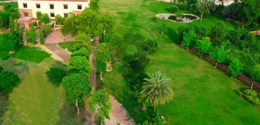 DHA FARMHOUSE 131