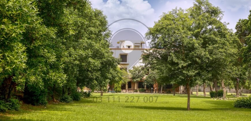 DHA FARMHOUSE 131