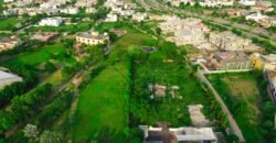 DHA FARMHOUSE 131