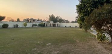 BAHRIA TOWN FARMHOUSE 270
